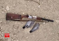 دستگیری متخلف شکار غیر مجاز پرندگان در شهرستان ایلام