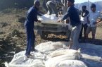 توزیع سرانه آرد روستایی در همه شهرستان‌ها باید یکسان باشد