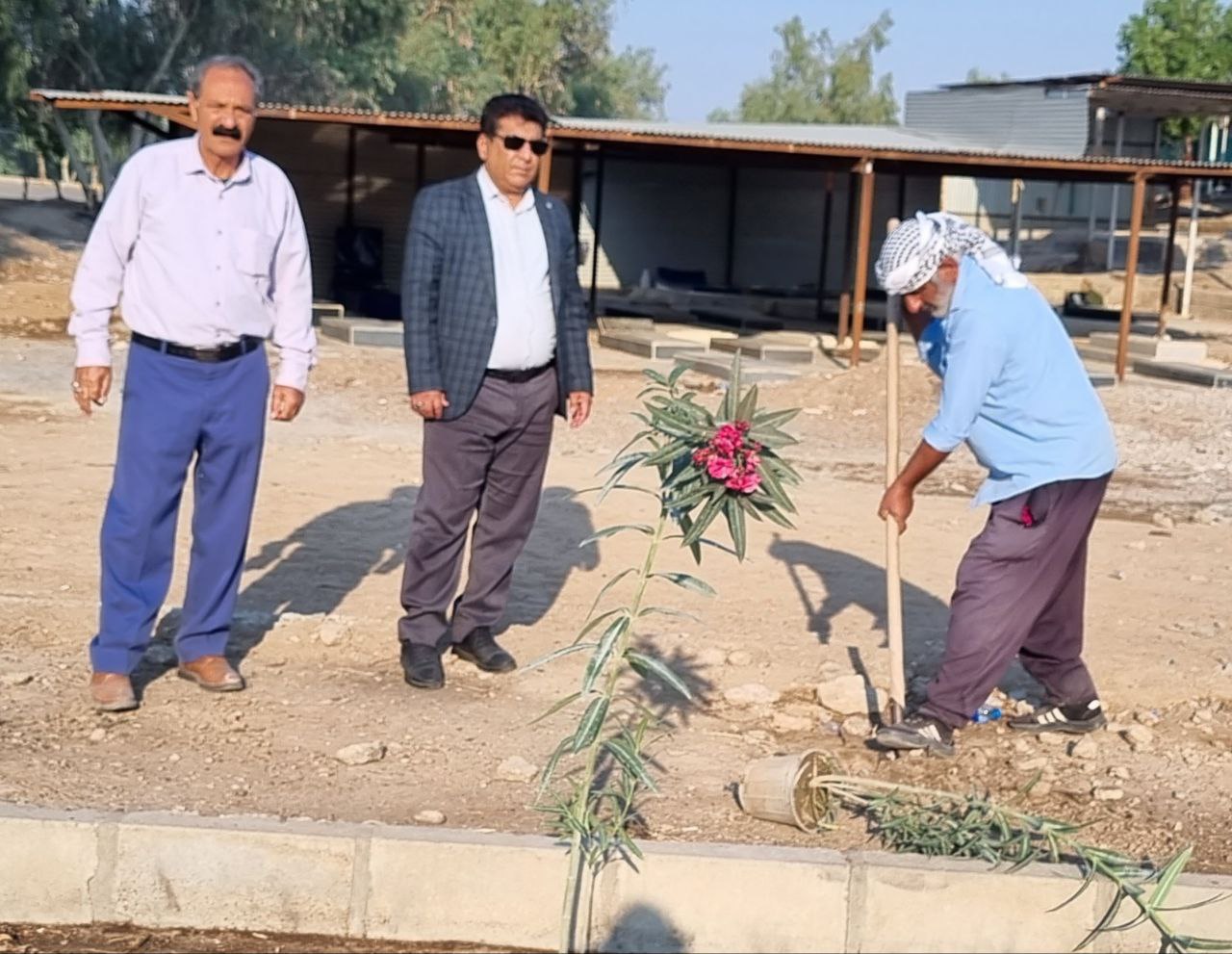 کاشت بیش از ۷۰۰ اصله درخت غیرمثمر در فضاهای سبز شهر مرزی موسیان