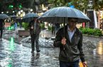فردا هوای ایلام  بارانی است