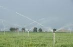 افتتاح طرح سیستم آبیاری  در  روستای وحدت آباد دره شهر