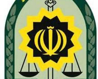 درتیراندازی سرابنقل آبدانان دو نفر  زخمی  ۸۰راس  دام تلف شد
