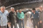 شهرستان آبدانان یکی از قطب های مهم دامپروری استان ایلام است
