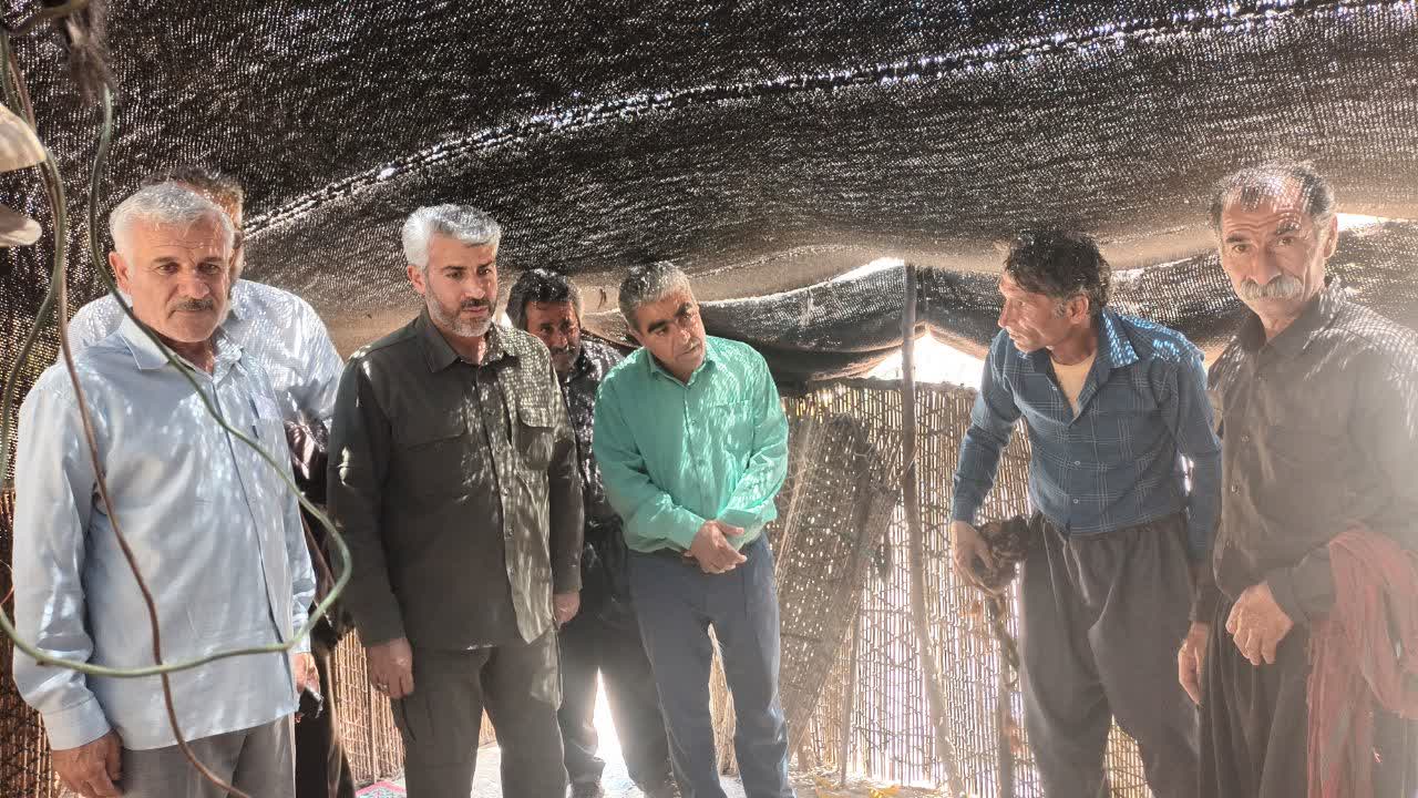 شهرستان آبدانان یکی از قطب های مهم دامپروری استان ایلام است