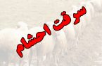 دادستانی وپلیس دهلران با قاطعیت  پیگیر مسئله  سرقت احشام  باشند