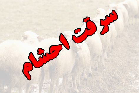 دادستانی وپلیس دهلران با قاطعیت  پیگیر مسئله  سرقت احشام  باشند