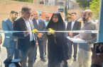 شور و ‌هیجان ورزش به سالن شهدای هفتم تیر  ایلام بازگشت
