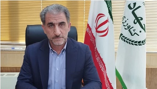 ۸۰ درصد مطالبات گندمکاران ایلام پرداخت شده است