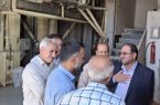 بازدید مدیرکل تعاون کار ورفاه اجتماعی ازشرکت های  تعاونی شهرستان دهلران