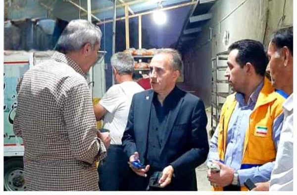 کشتار غیرمجاز دام در ایلام سلامت جامعه را به خطر می‌اندازد