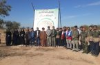 اجرای  پویش درختکاری «در سایه مادر» در شهرستان دهلران