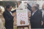 نماینده حوزه جنوب در مجلس شورای اسلامی از پوستر جشنواره تئاتر خیابانی رونمایی کرد
