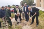 ۱۱۲ نهال به نام امدادگران شهید در دهلران غرس شد