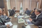 ۳۰ درصد عشایر  استان ایلام  در حوزه جنوب استان ایلام  مشغول دامپروری هستند