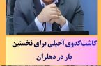 کشت کدوی آجیلی برای نخستین‌بار در شهرستان دهلران