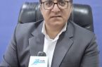 برداشت محصول خیار گلخانه ای  در دشت عباس
