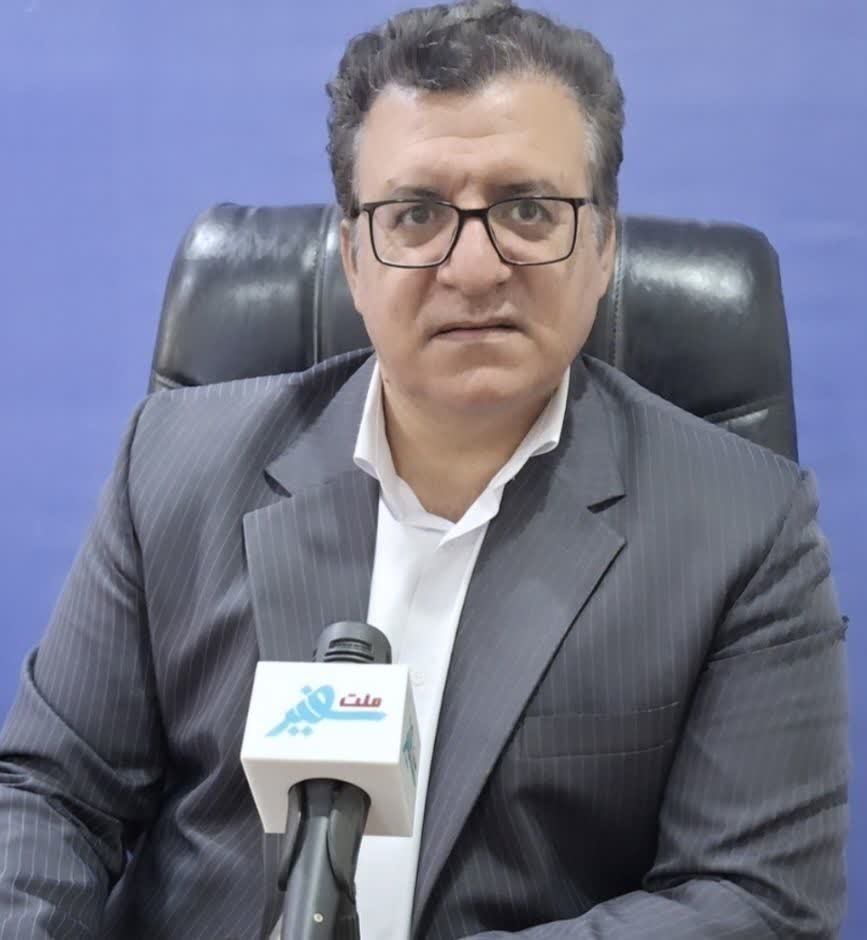 برداشت محصول خیار گلخانه ای  در دشت عباس
