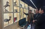 استاندار ایلام  خواستار  شهرک  صنایع دستی ایران در ایلام شد
