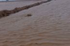 سیلاب بیش از ۴۵۰۰ هکتار اراضی کشاورزی شهرستان دهلران را زیر آب برد