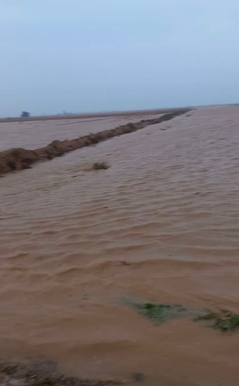 سیلاب بیش از ۴۵۰۰ هکتار اراضی کشاورزی شهرستان دهلران را زیر آب برد