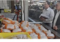 ۳پرونده تعزیری و جریمه در بازدید میدانی جهاد کشاورزی از بازار ایلام